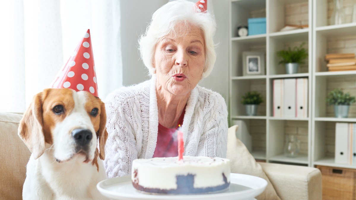 1095893024 longevity dog jpg
