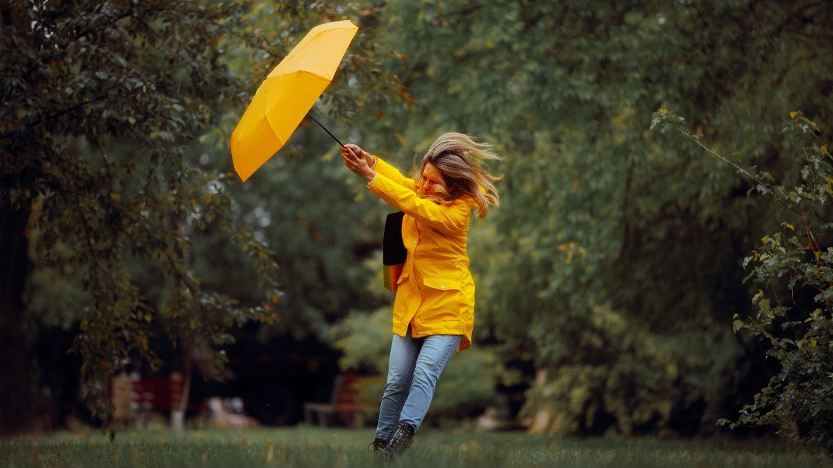 2474249031 bad weather jpg