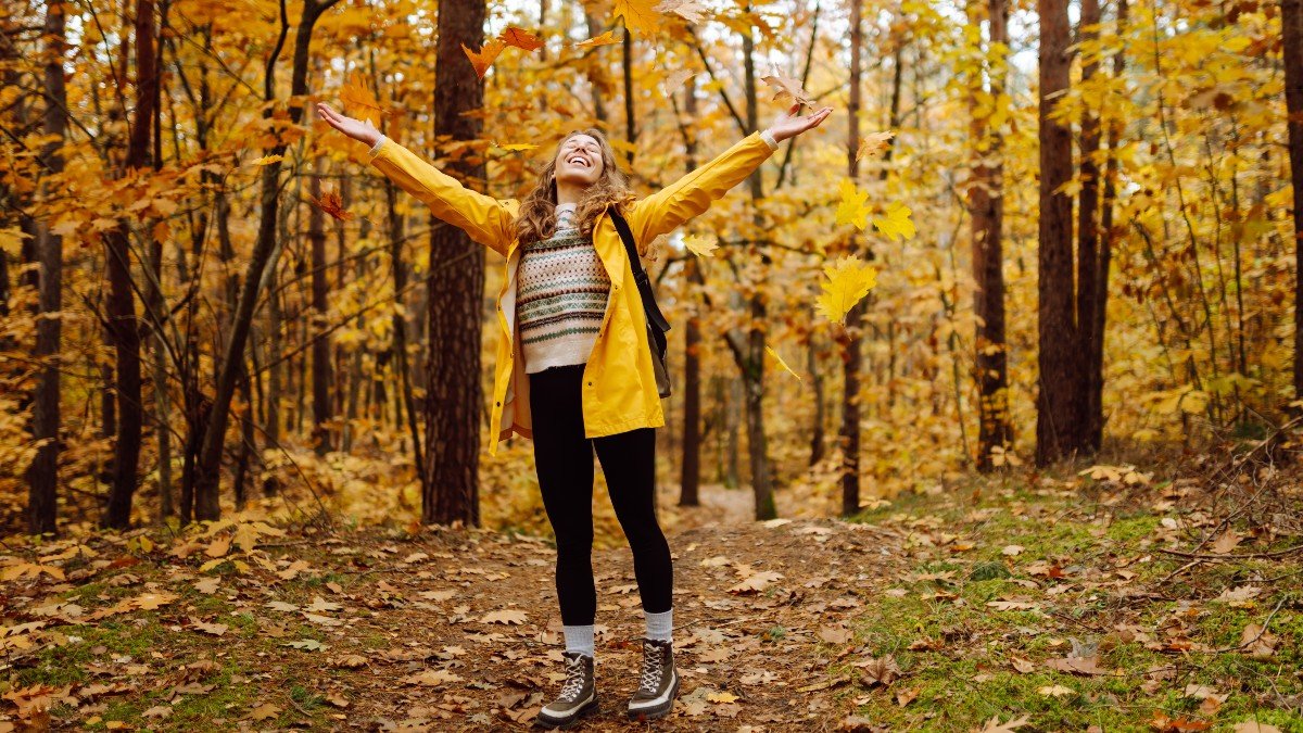 2499298845 autumn nature walking jpg