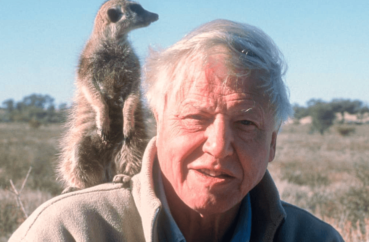 David Attenborough makrozoia png