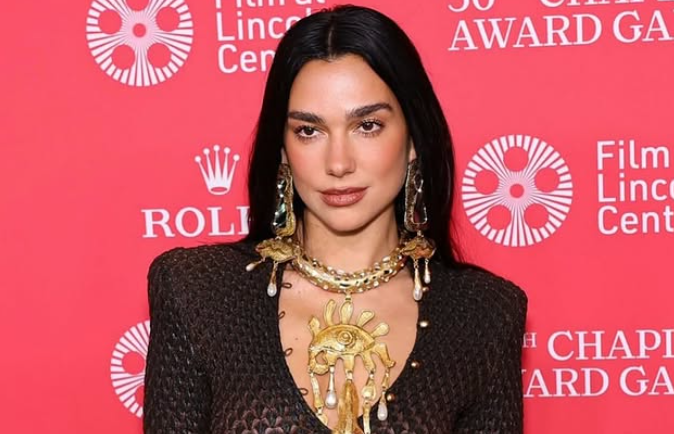 Dua Lipa png