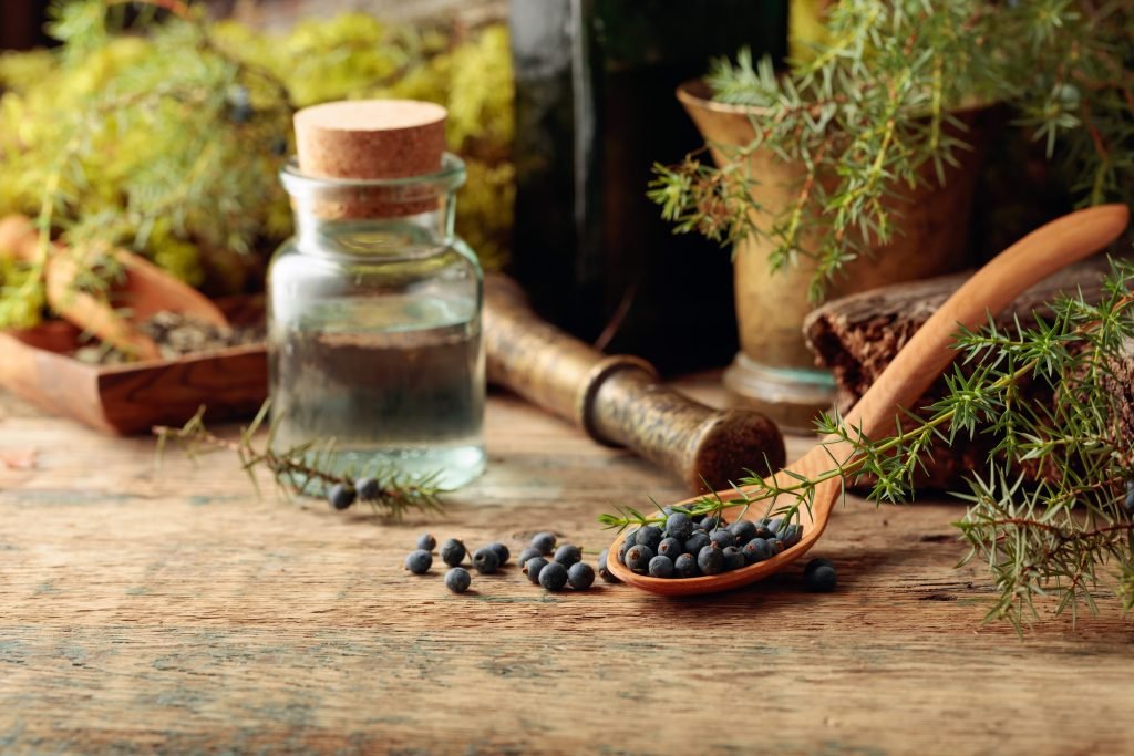 arkeythos antioxeidotiki antiflegmonodi kai antimikroviaki 1024x683 jpg