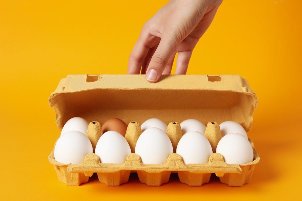 ayga proteini 1024x683 jpg