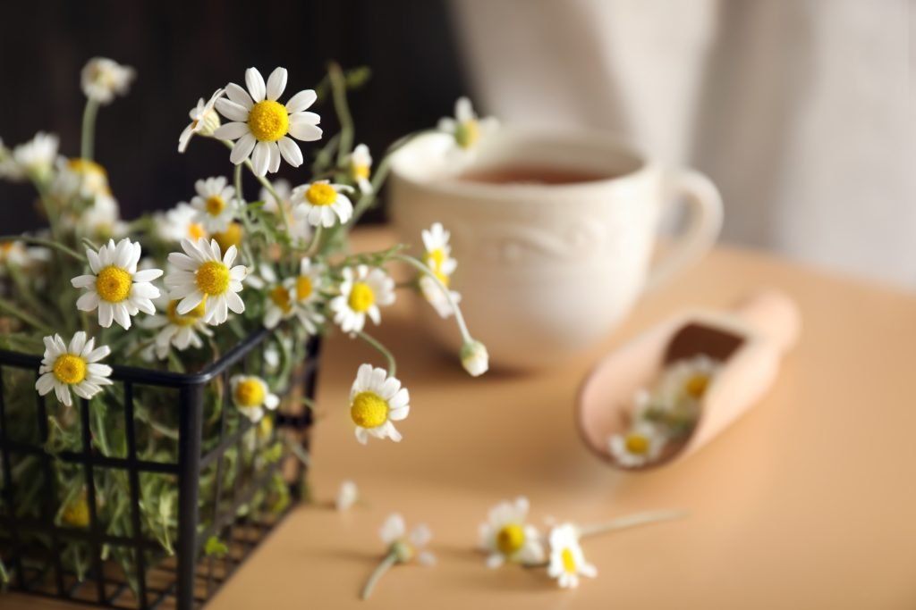 chamomili gastrenteriko agchos 1024x683 jpg