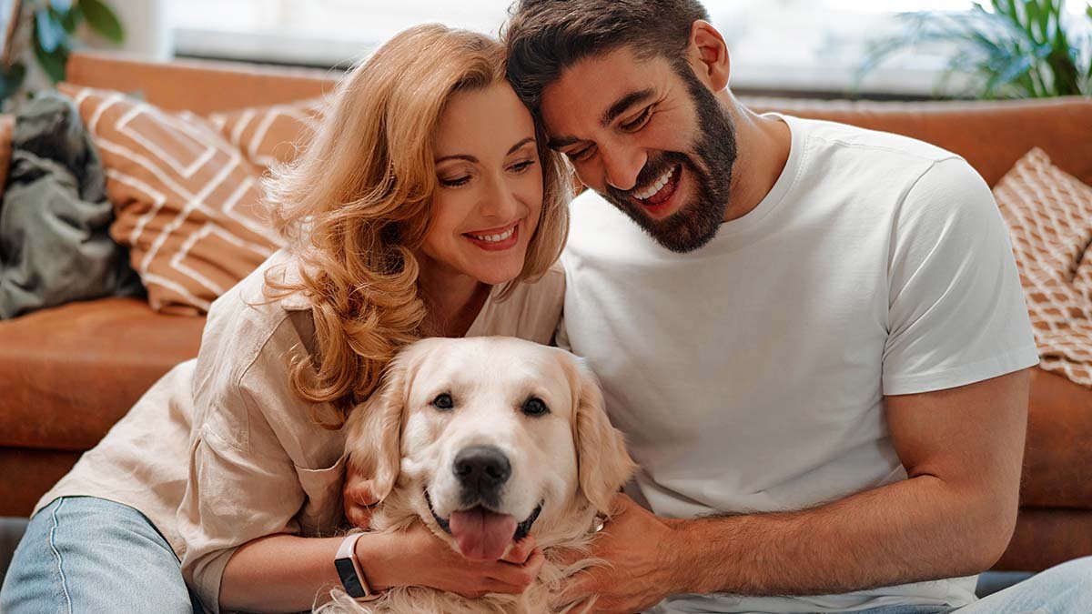 dog pet 2310375663 jpg