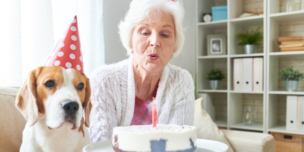 1095893024 longevity dog jpg