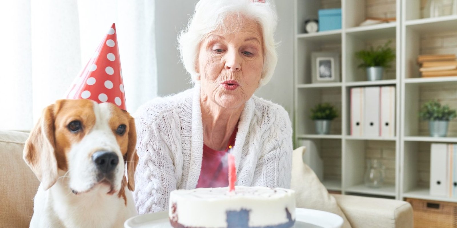 1095893024 longevity dog jpg