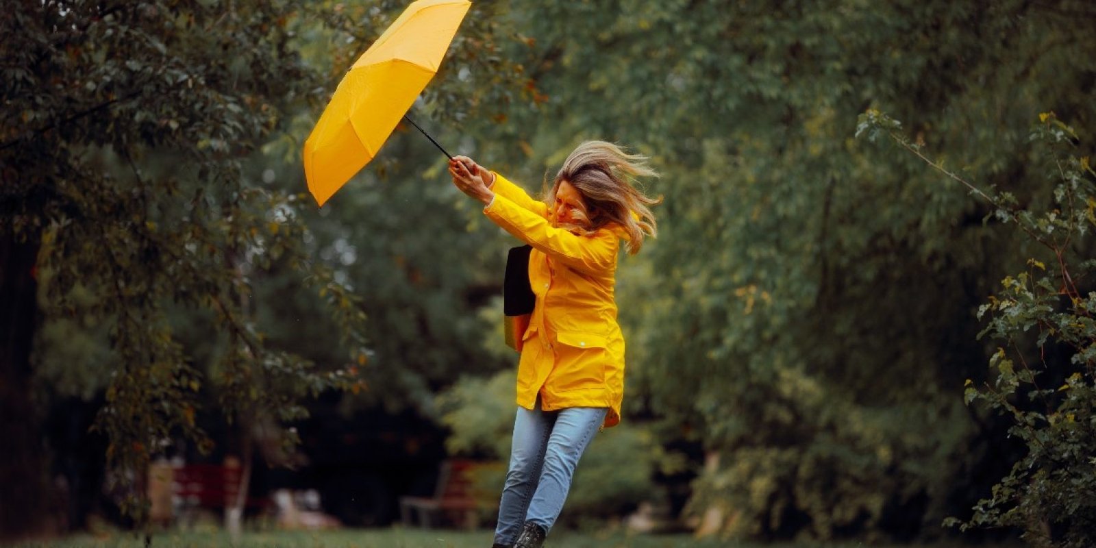 2474249031 bad weather jpg