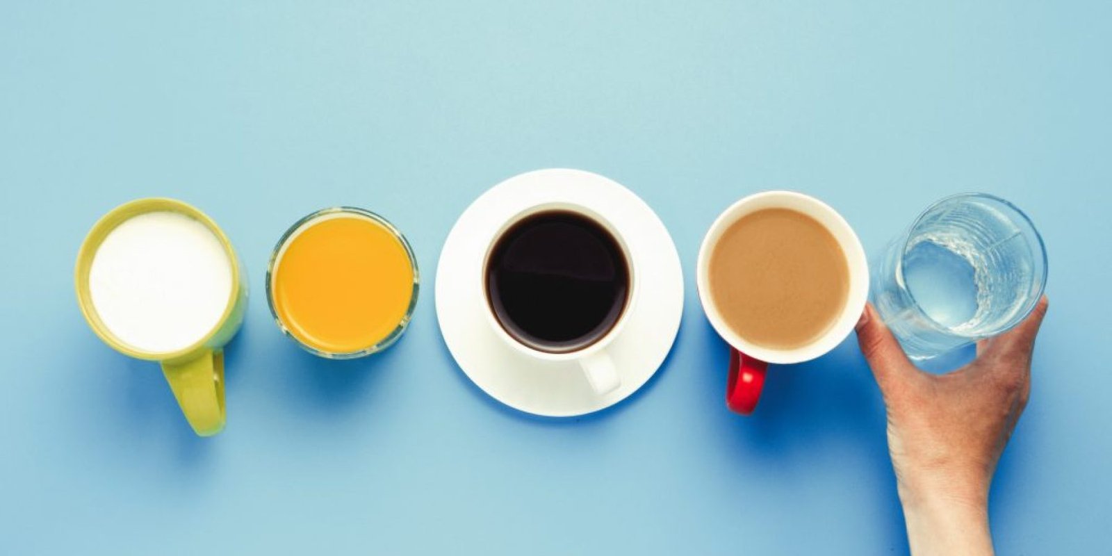 7 rofimata kaine lipos 1024x683 jpg