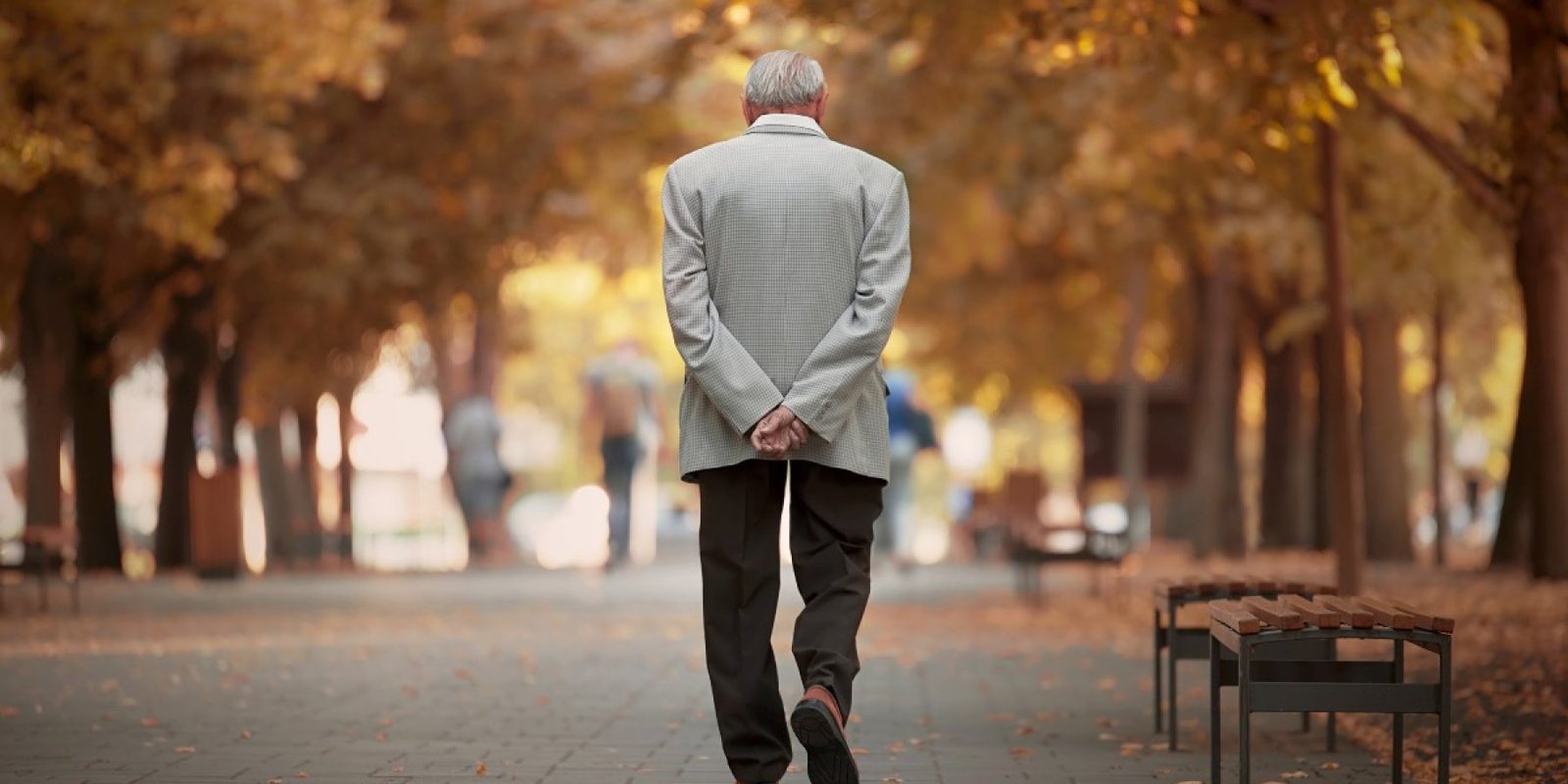 714347008 walking old hands back jpg
