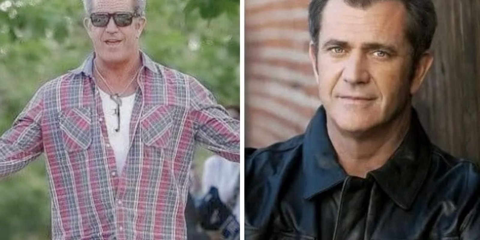 Mel Gibson mple elixirio jpg Mel Gibson mple elixirio jpg