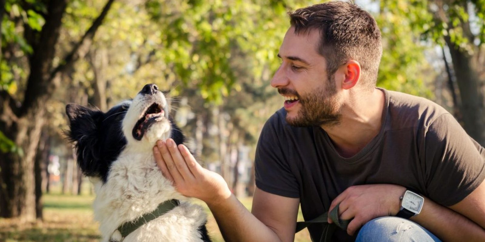 agapate zoa prodiathesi psychopatheia 1024x678 jpg