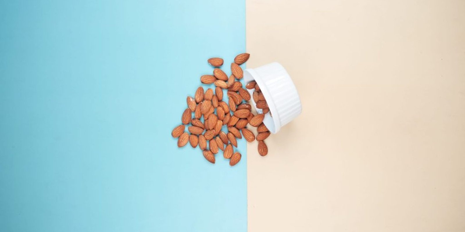 amygdala dna oxeidotiko stres 1024x683 jpg