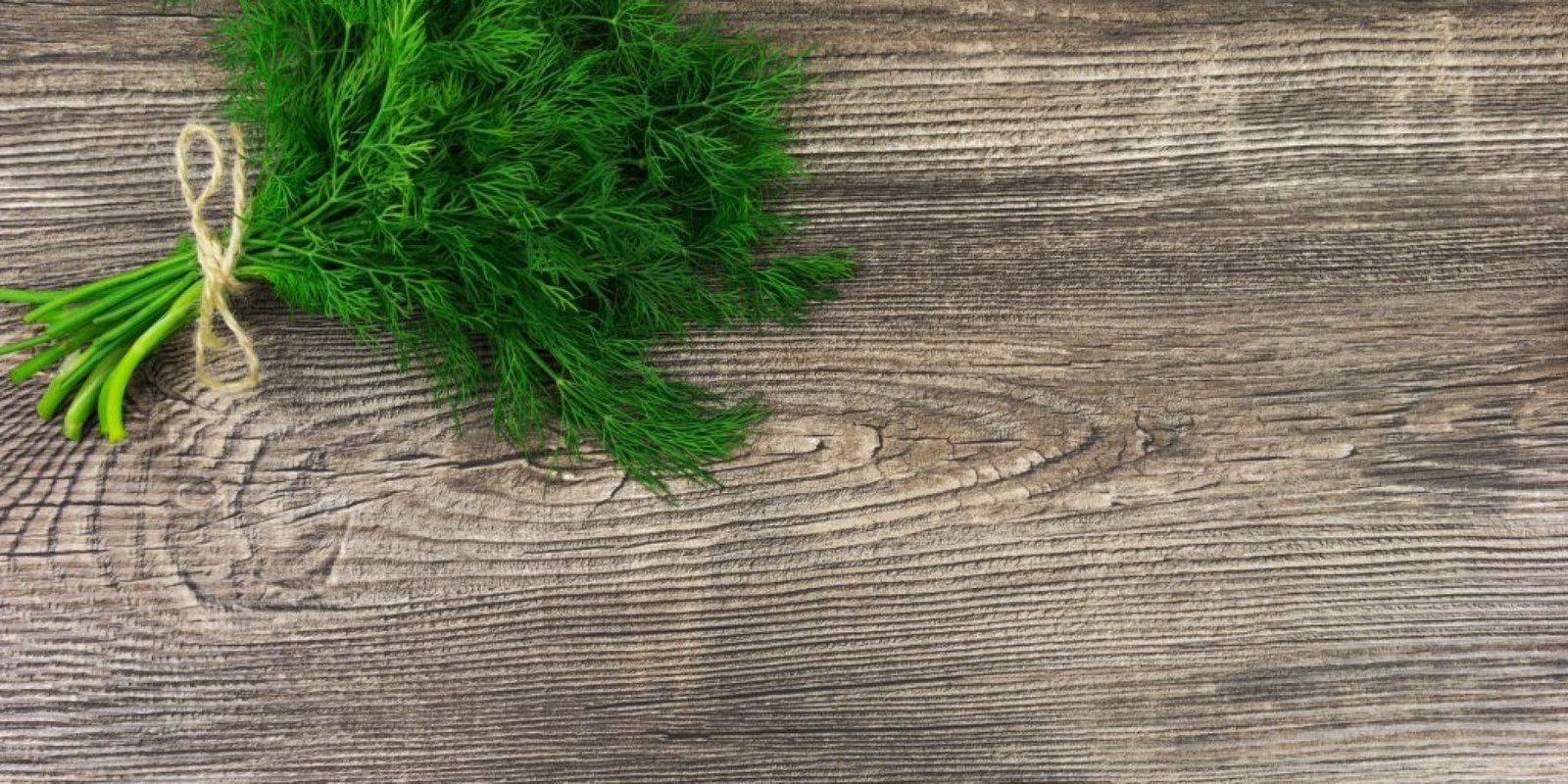 anithos aypnia flegmoni 1024x683 jpg