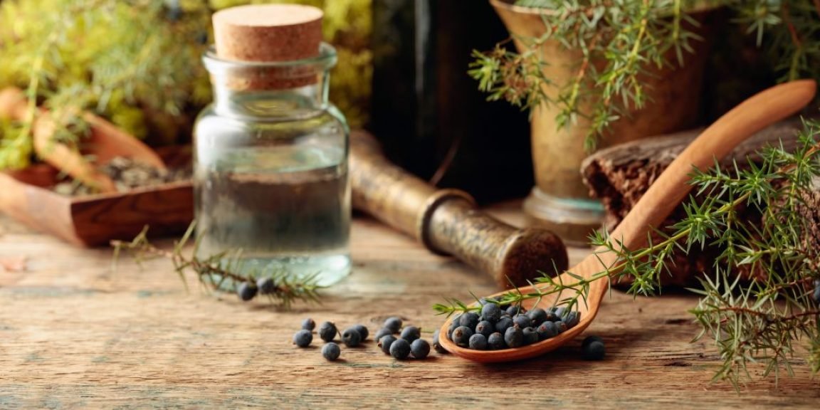 arkeythos antioxeidotiki antiflegmonodi kai antimikroviaki 1024x683 jpg