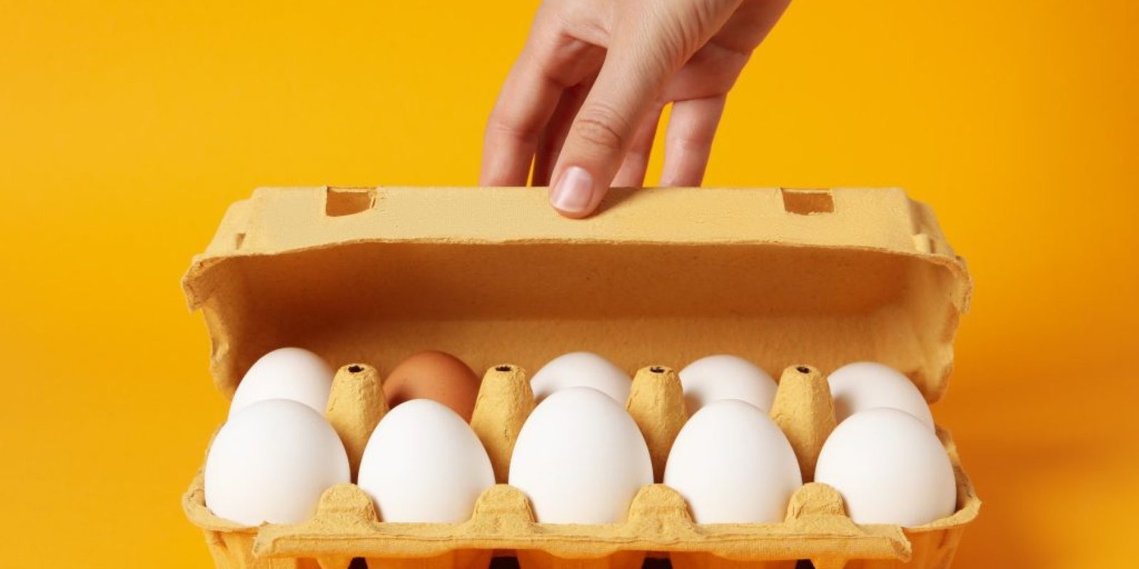 ayga proteini 1024x683 jpg