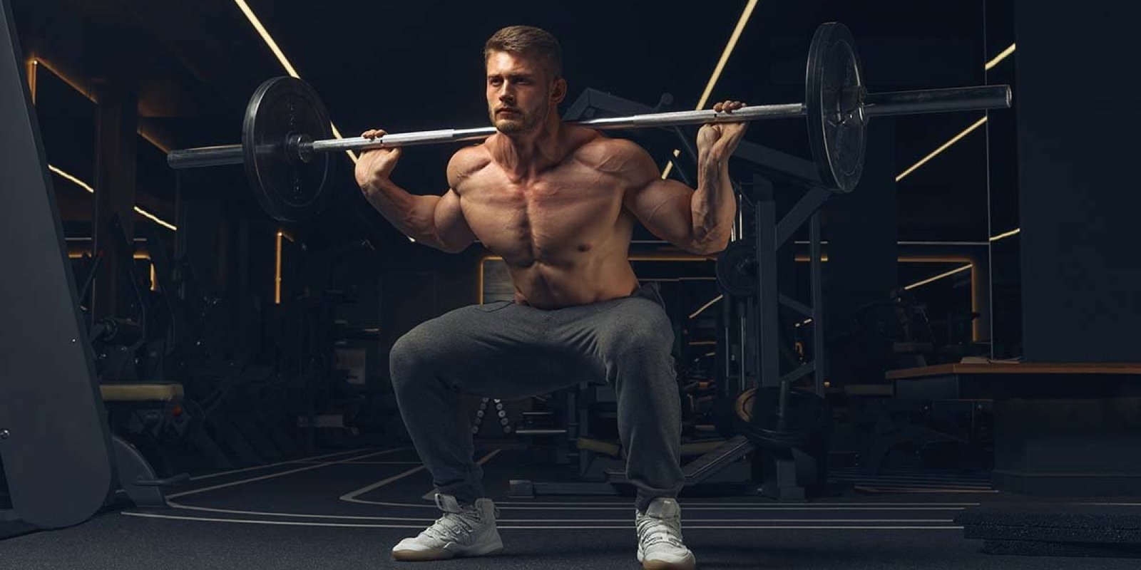 bodybuilder 2341653231 jpg