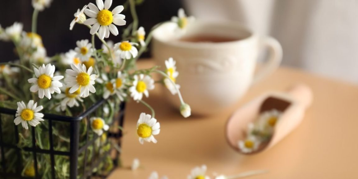 chamomili gastrenteriko agchos 1024x683 jpg