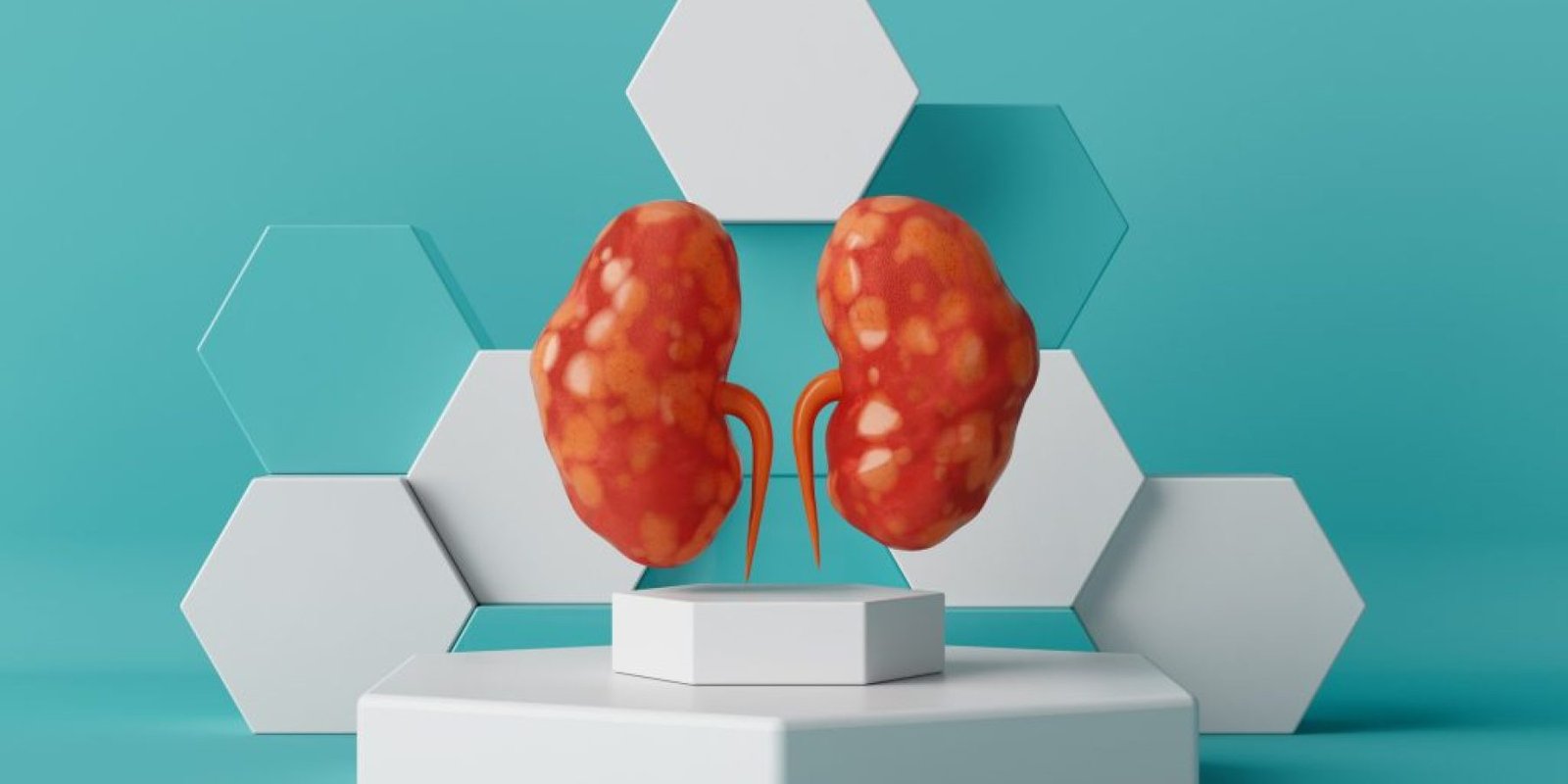 cheiroteres trofes nefra 1024x683 jpg