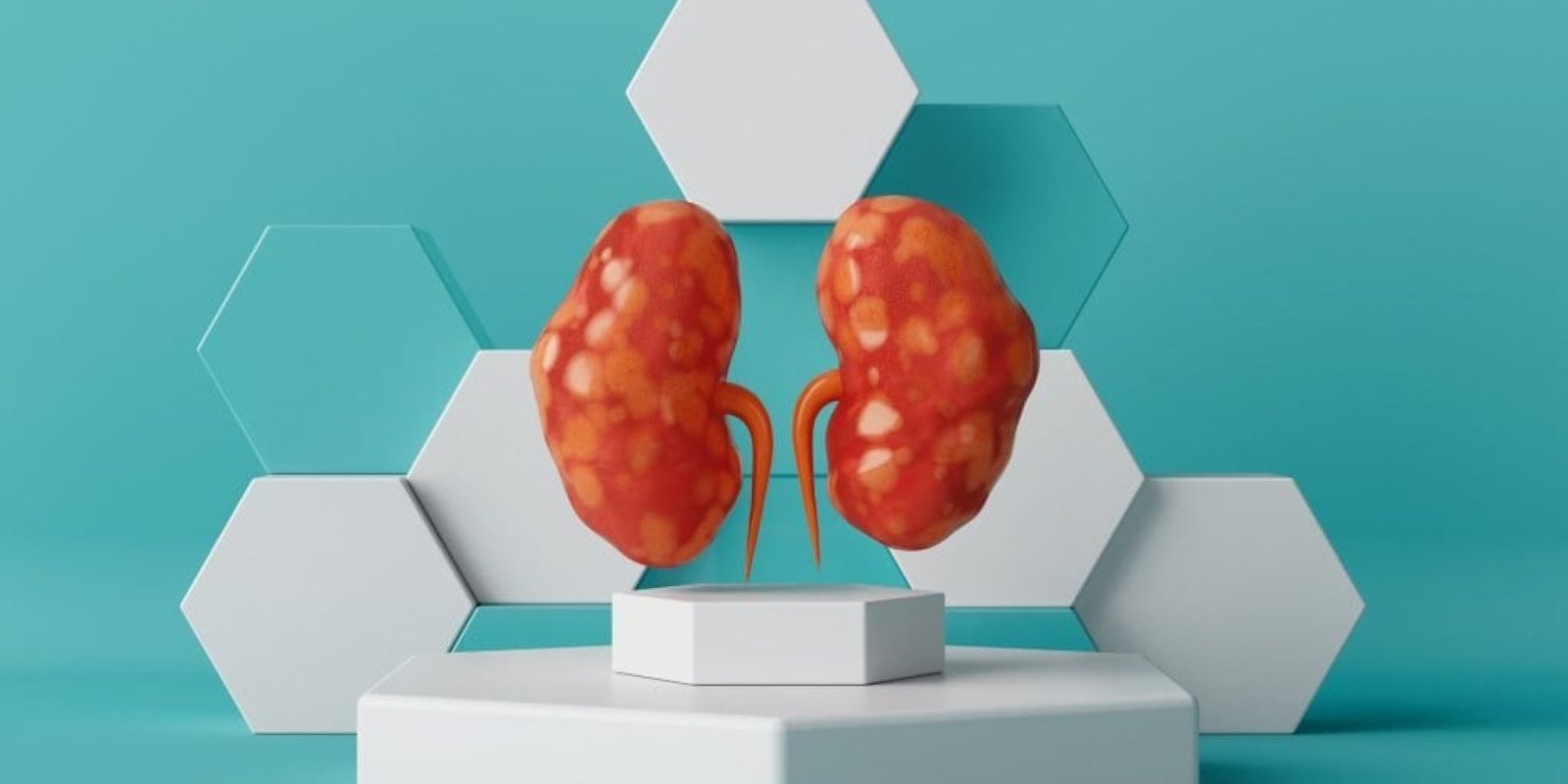 cheiroteres trofes nefra 1024x683 jpg