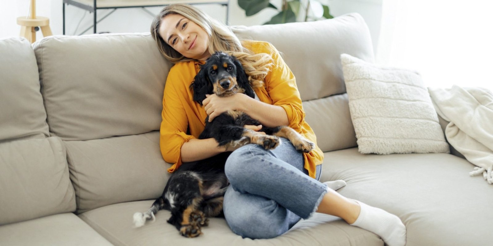 dog skilos shutterstock 2598015749 jpg