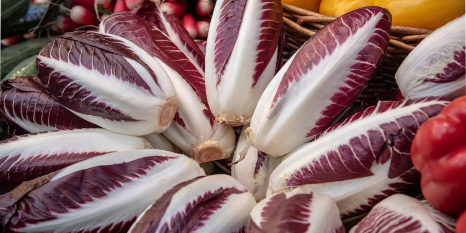 doro fthinoporoy entero pathiseon 1024x683 jpg