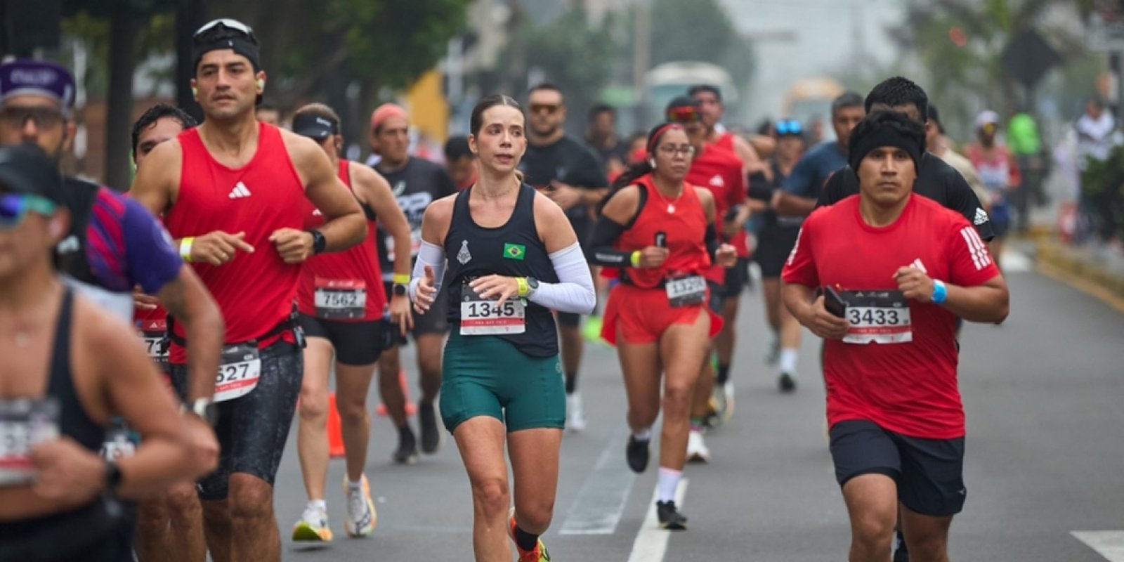 dromeas shutterstock 2632893655 jpg