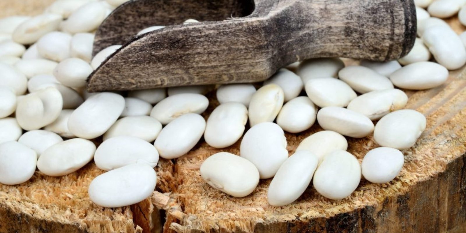 fasolia lima antioxeidotika antidiavitika 1024x678 jpg