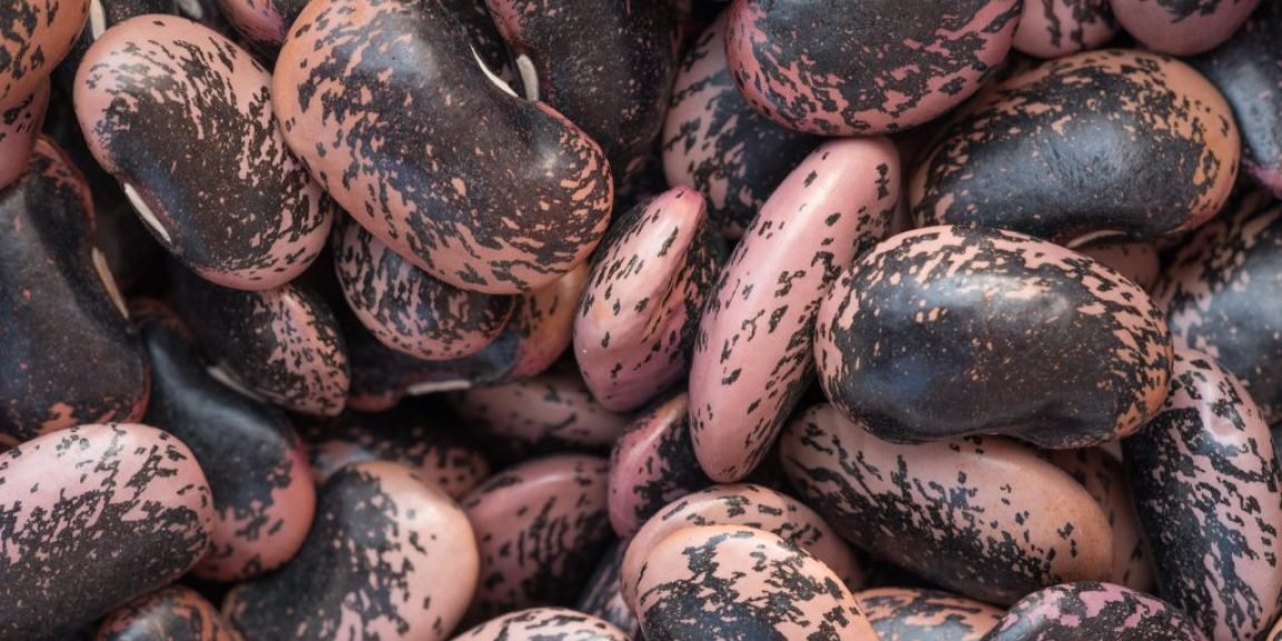 fasolia scarlet runner kardia antioxeidotiki 1024x683 jpg