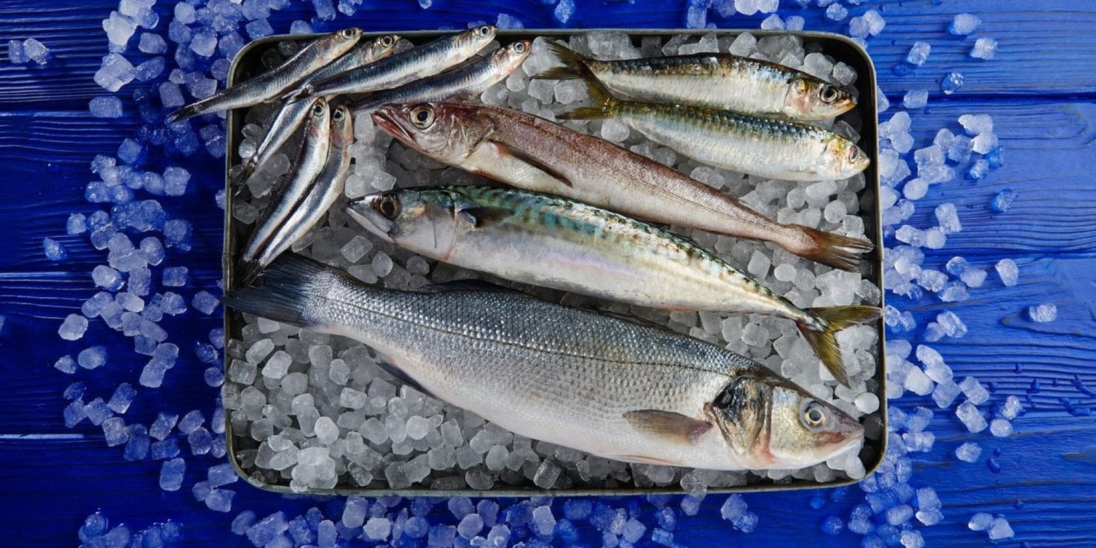 fish iStock 915626582 jpg