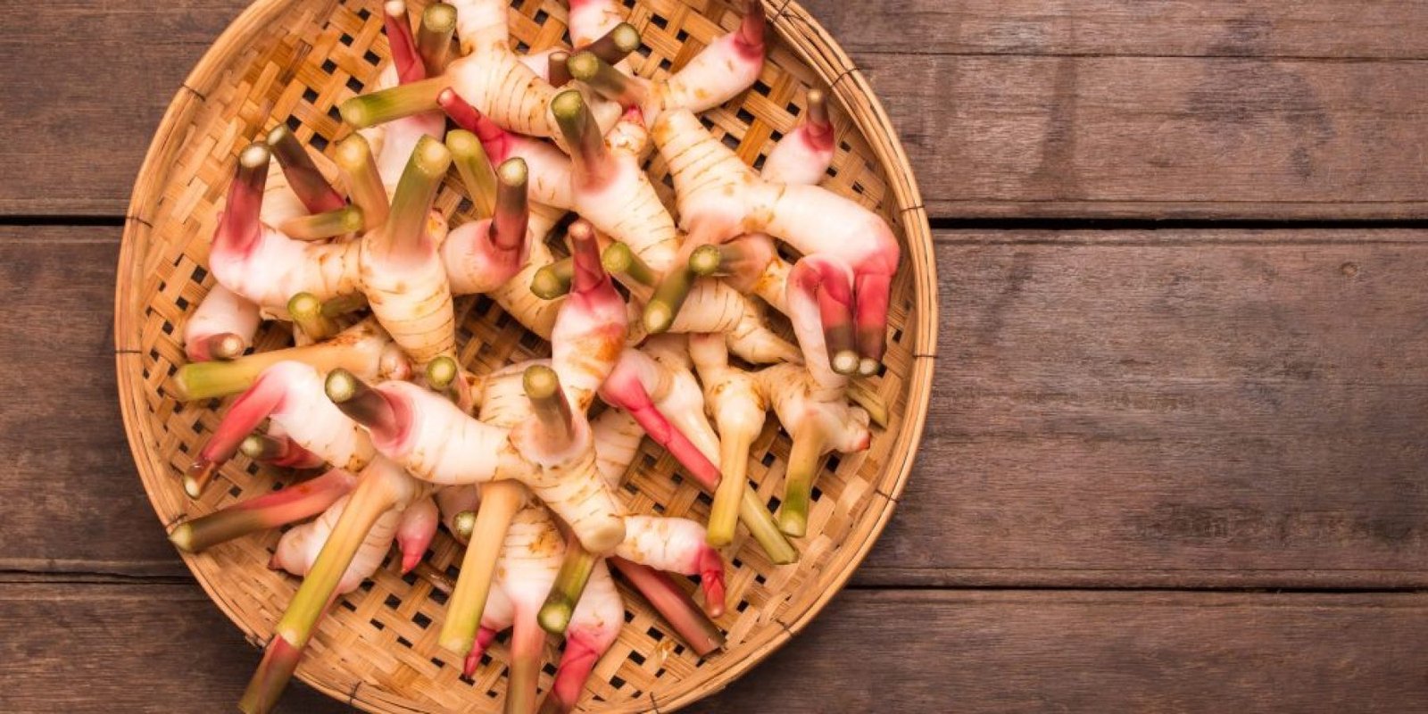 galangal kardia spermatozoaria 1024x768 jpg