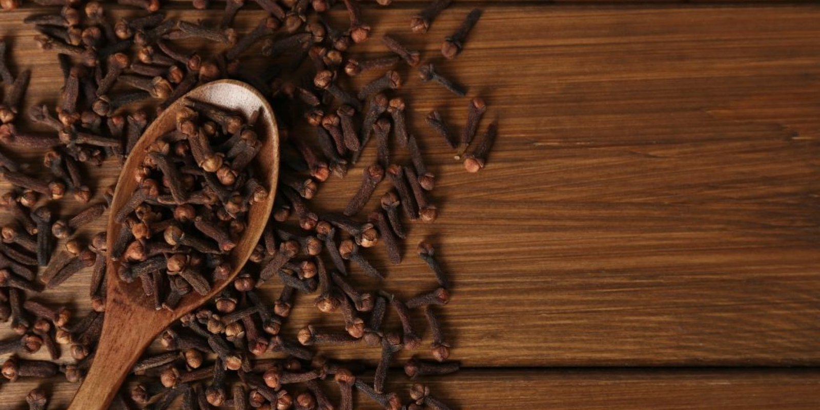 garifallo ipar fysiko paysipono 1024x683 jpg