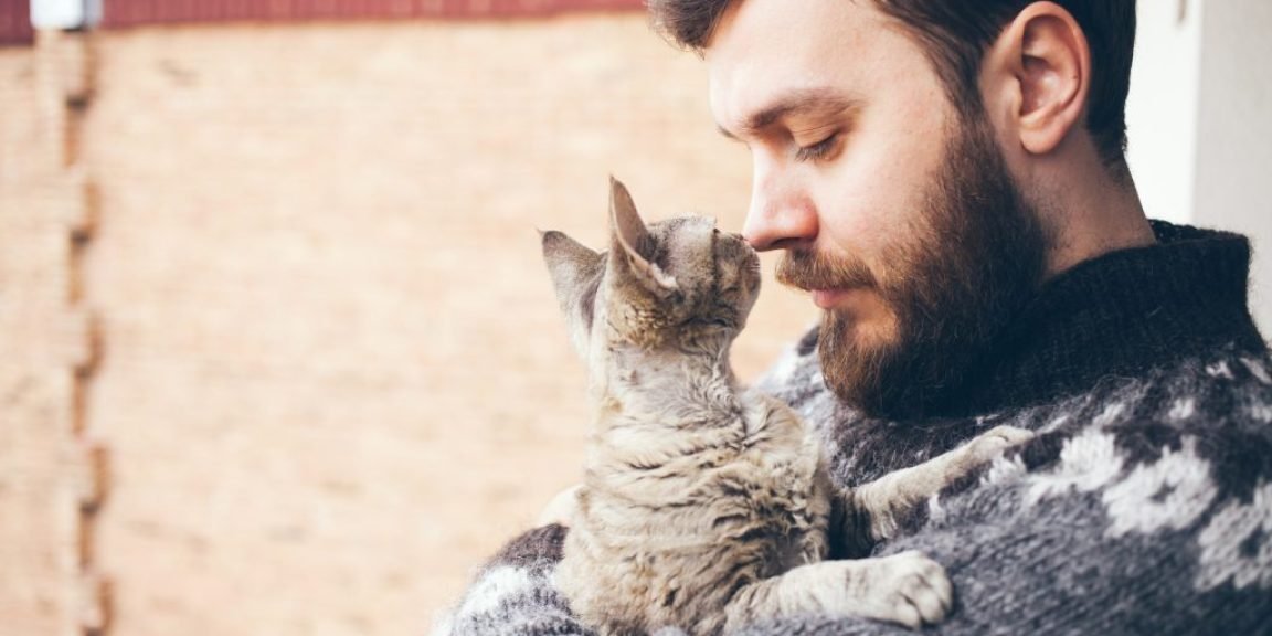 gata kindyno schizofreneia meleti 1024x683 jpg