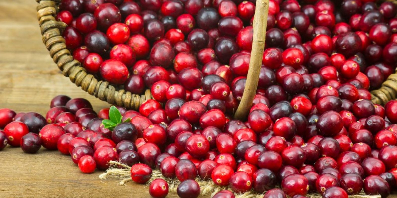 giortino froyto kardiopatheia oyroloimoxeon 1024x683 jpg