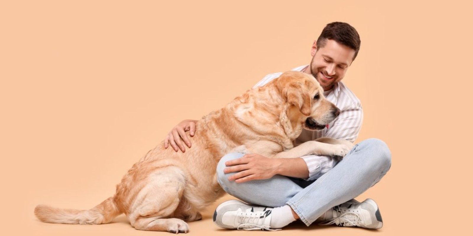 golden retriever anthropoi 1024x683 jpg