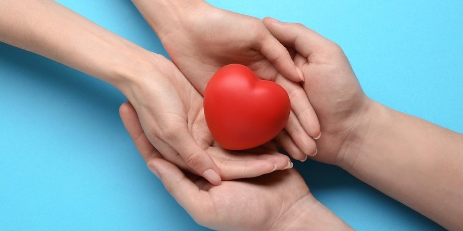 heart organ donation shutterstock 2137052047 jpg