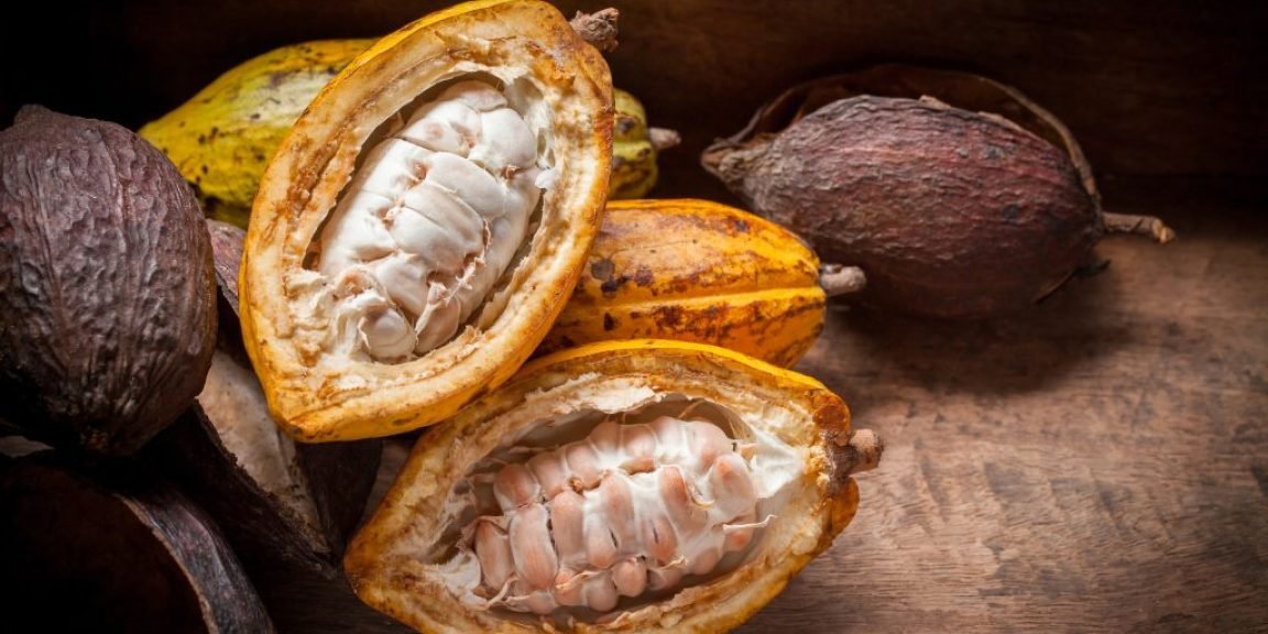 kakao metavolismo cholisterini 1024x683 jpg