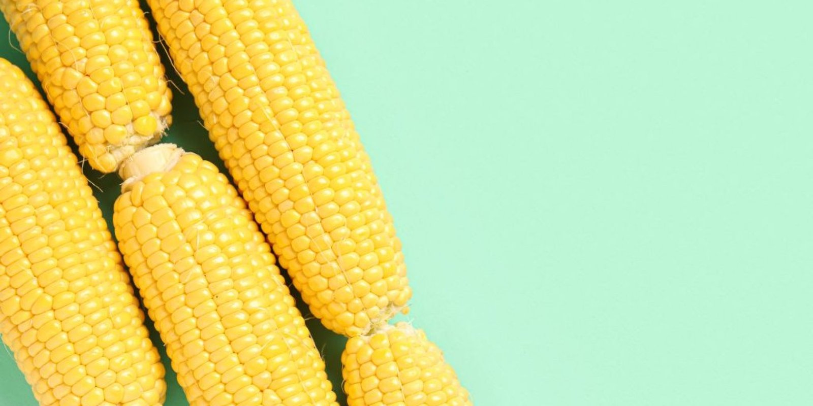 kalampoki ofeli 1024x683 jpg