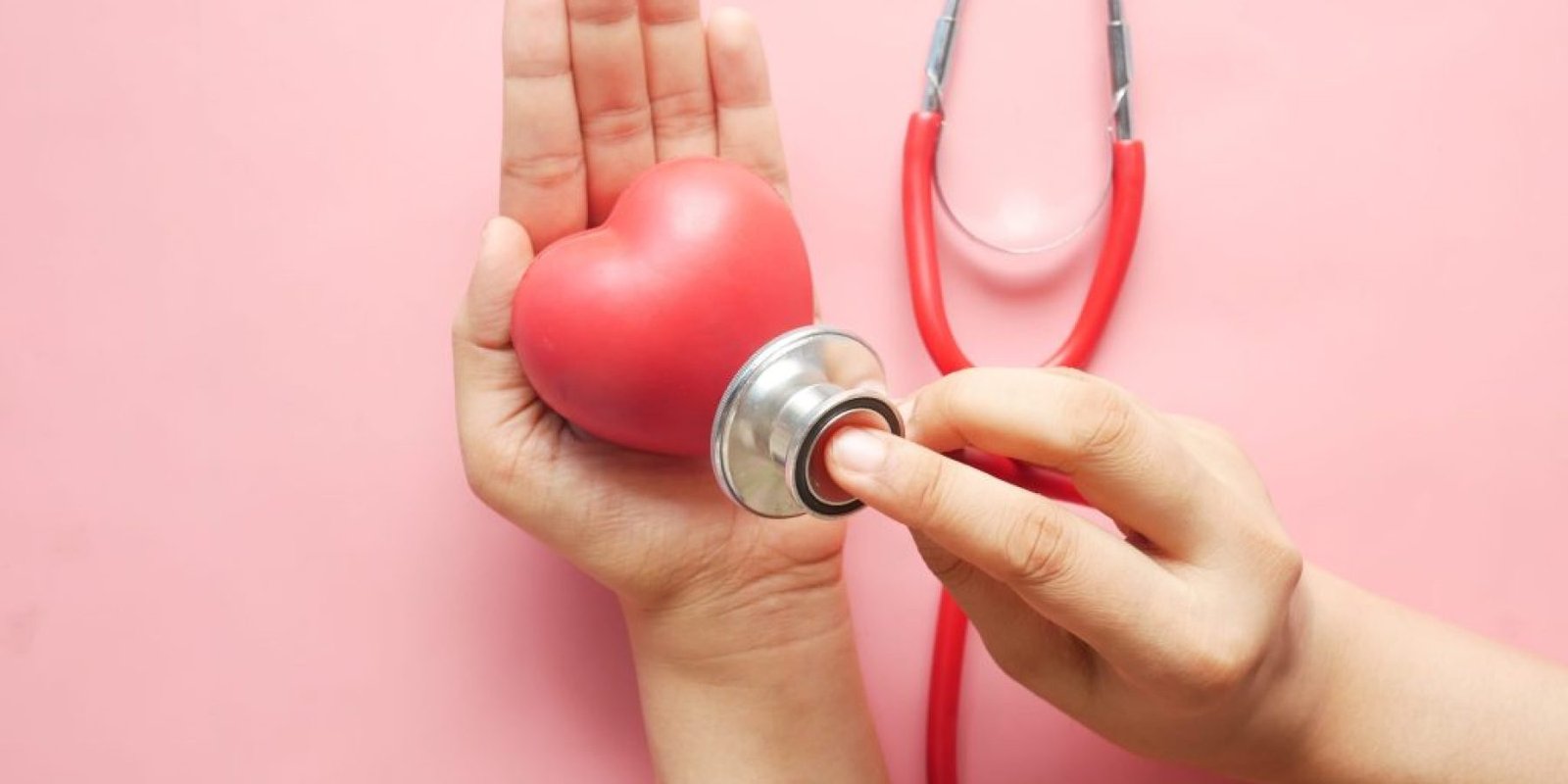 kardia 6 mystika 1024x683 jpg