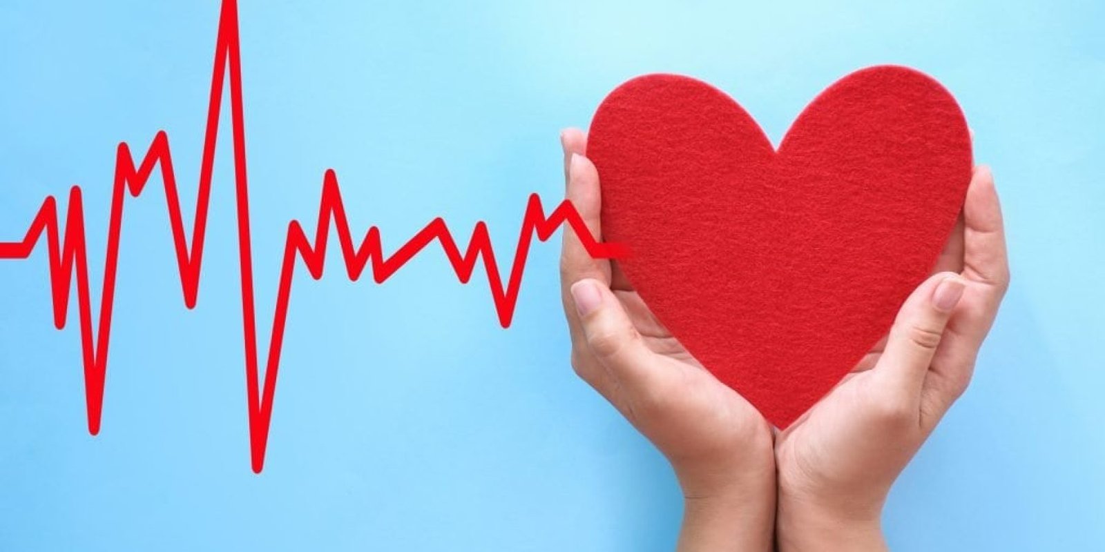 kardia ilikia gernaei 1024x683 jpg