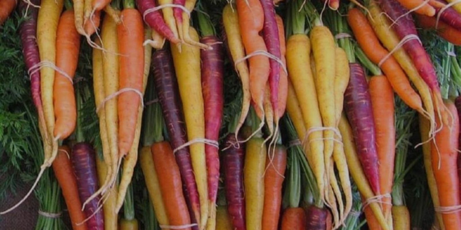 karota orasi egkefalo anosopoiitiko e1765985959231 1024x702 jpg