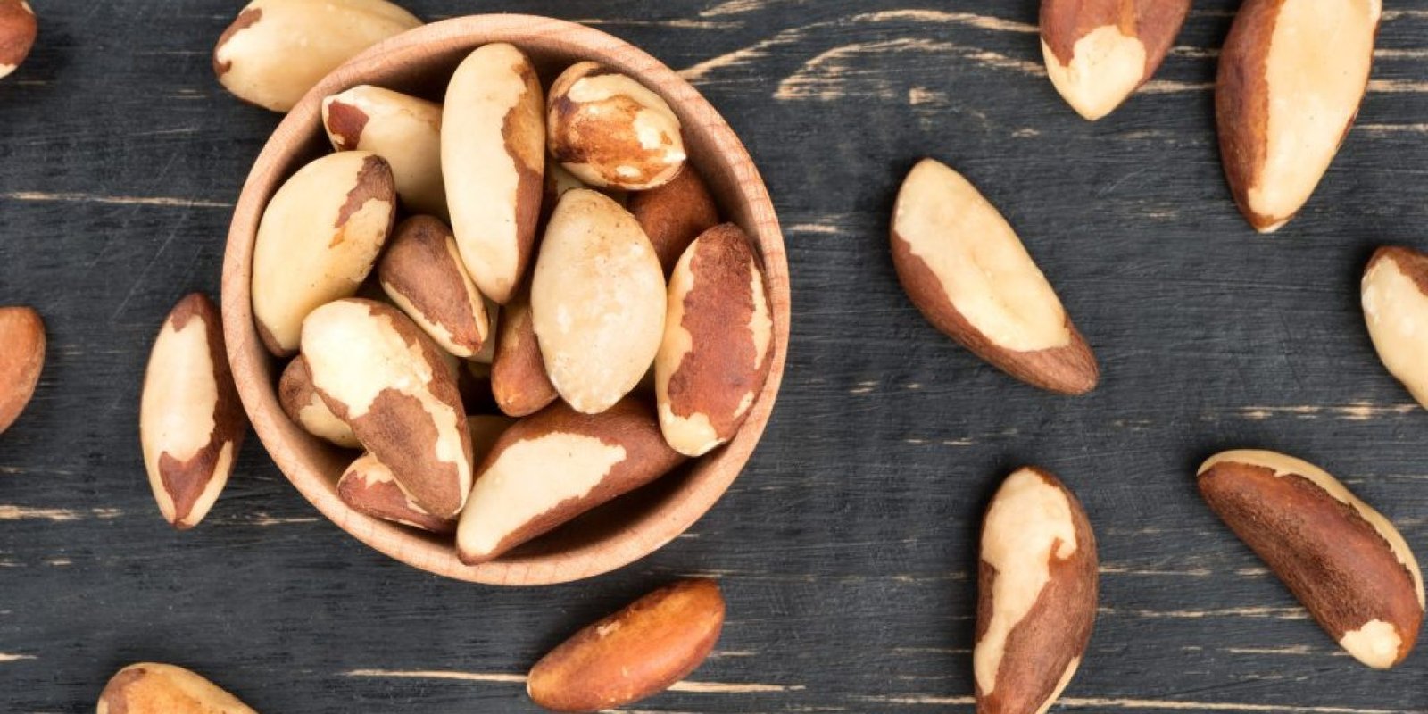 karydia vrazilias selinio thyreoeidi 1024x690 jpg