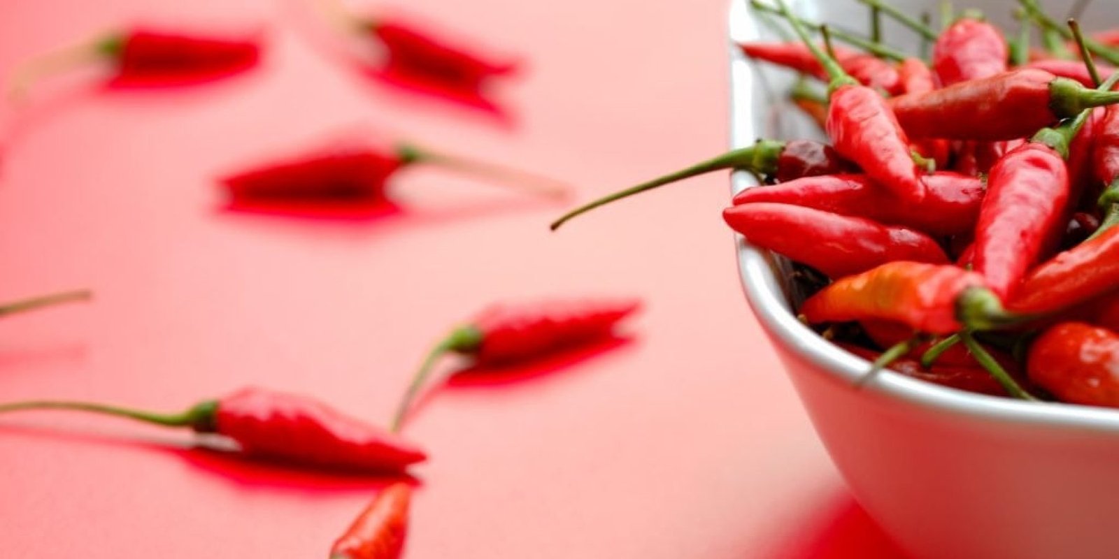 kaytera kardia 1024x683 jpg