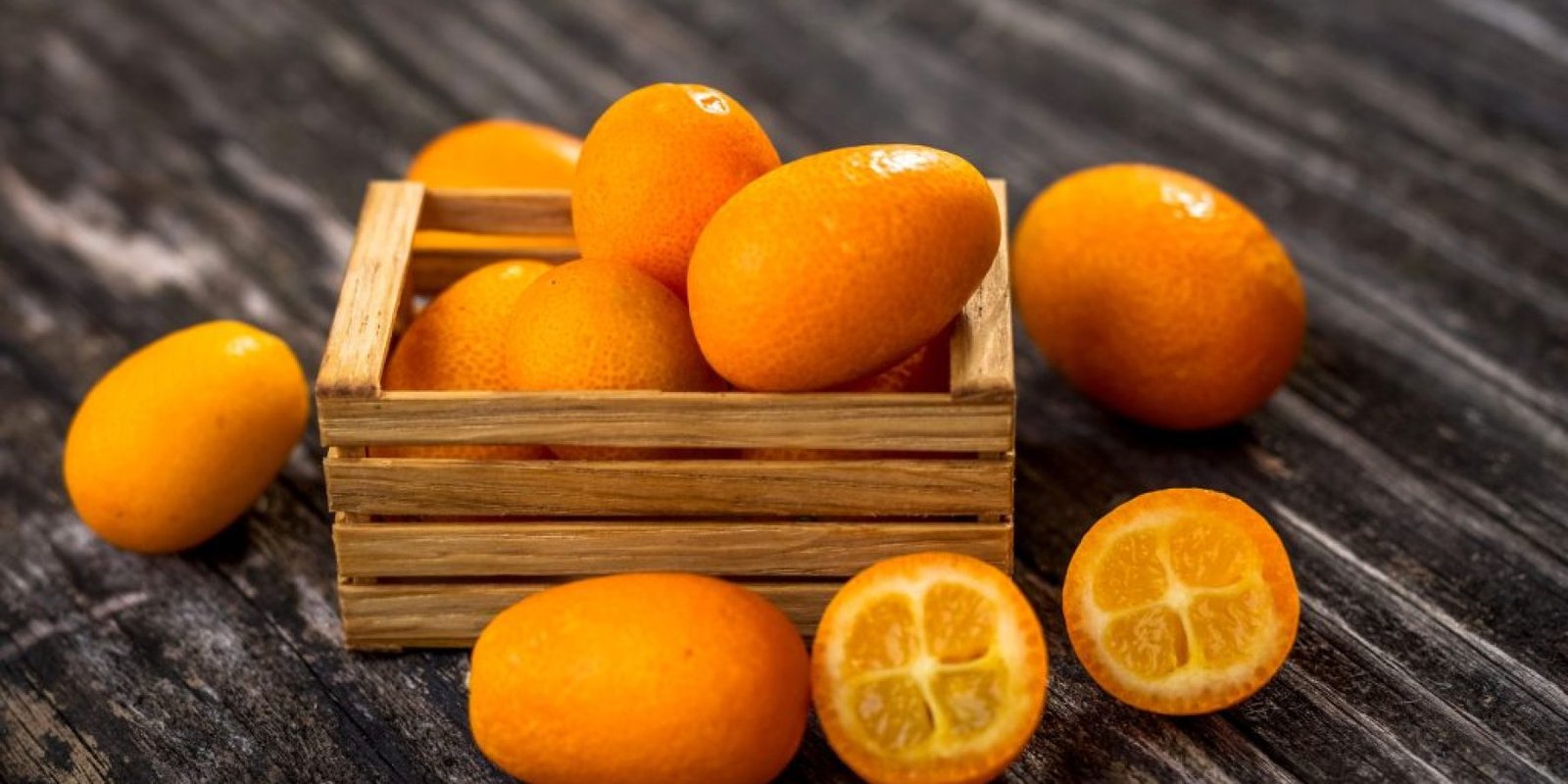 koymkoyat anosopoiitiko pachysarkia 1024x683 jpg