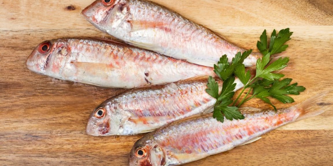 koytsomoyra kardia endokriniko 1024x683 jpg