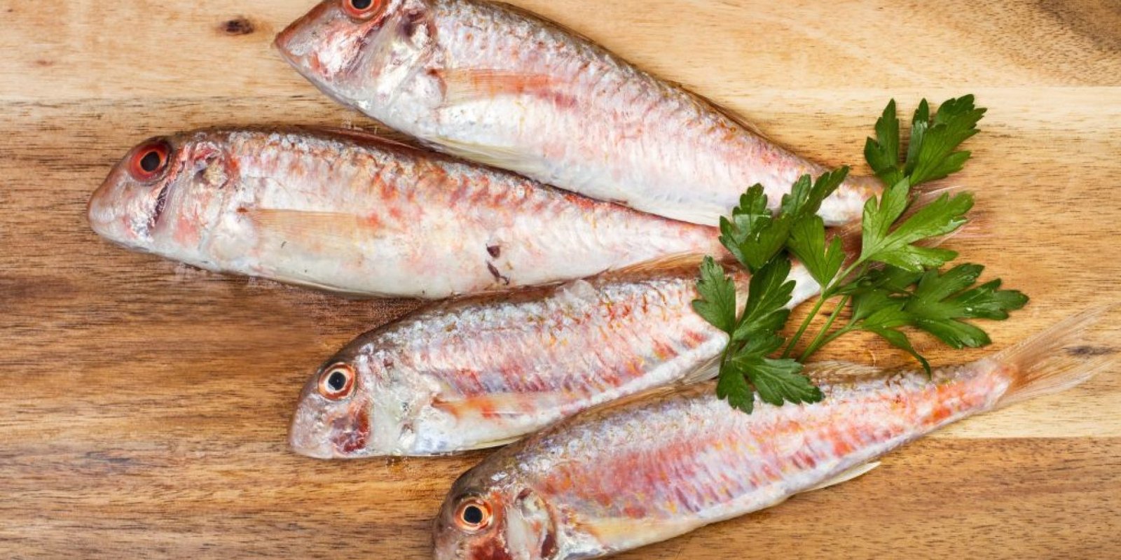 koytsomoyra kardia endokriniko 1024x683 jpg