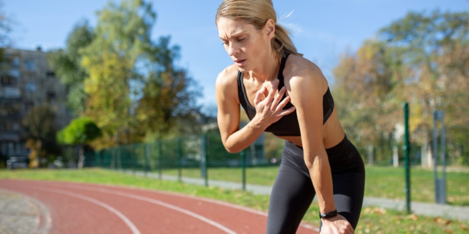 laxaniasma shutterstock 2413331587 jpg