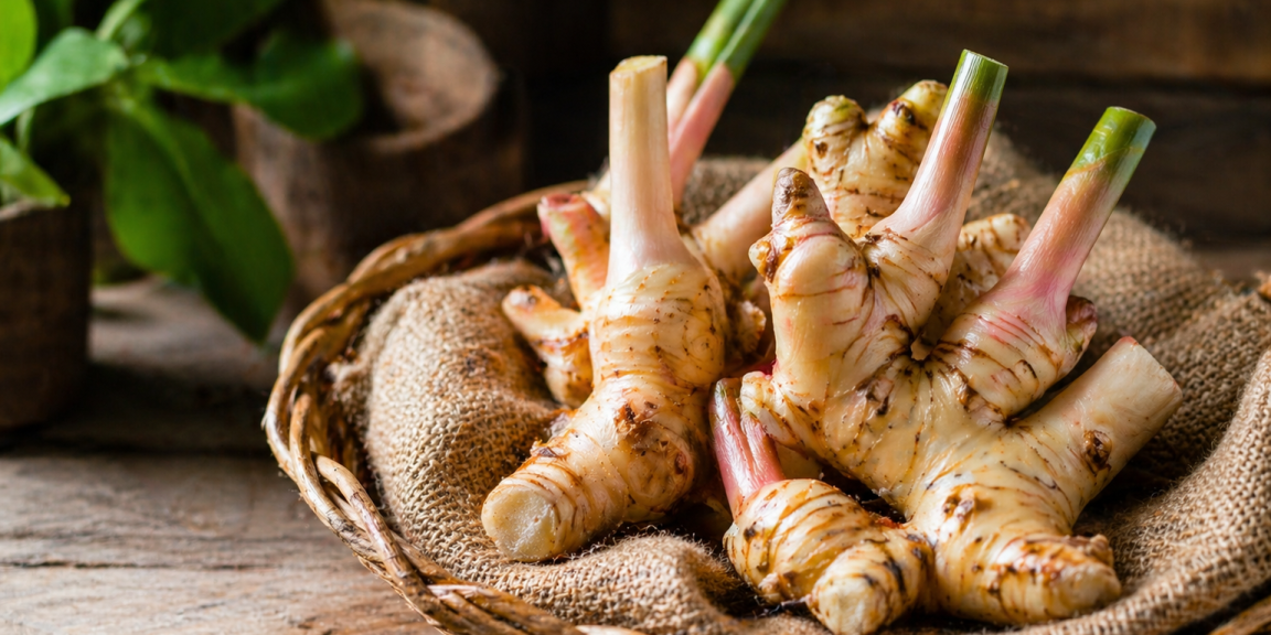 lesser galangal anosopoiitiko elki png