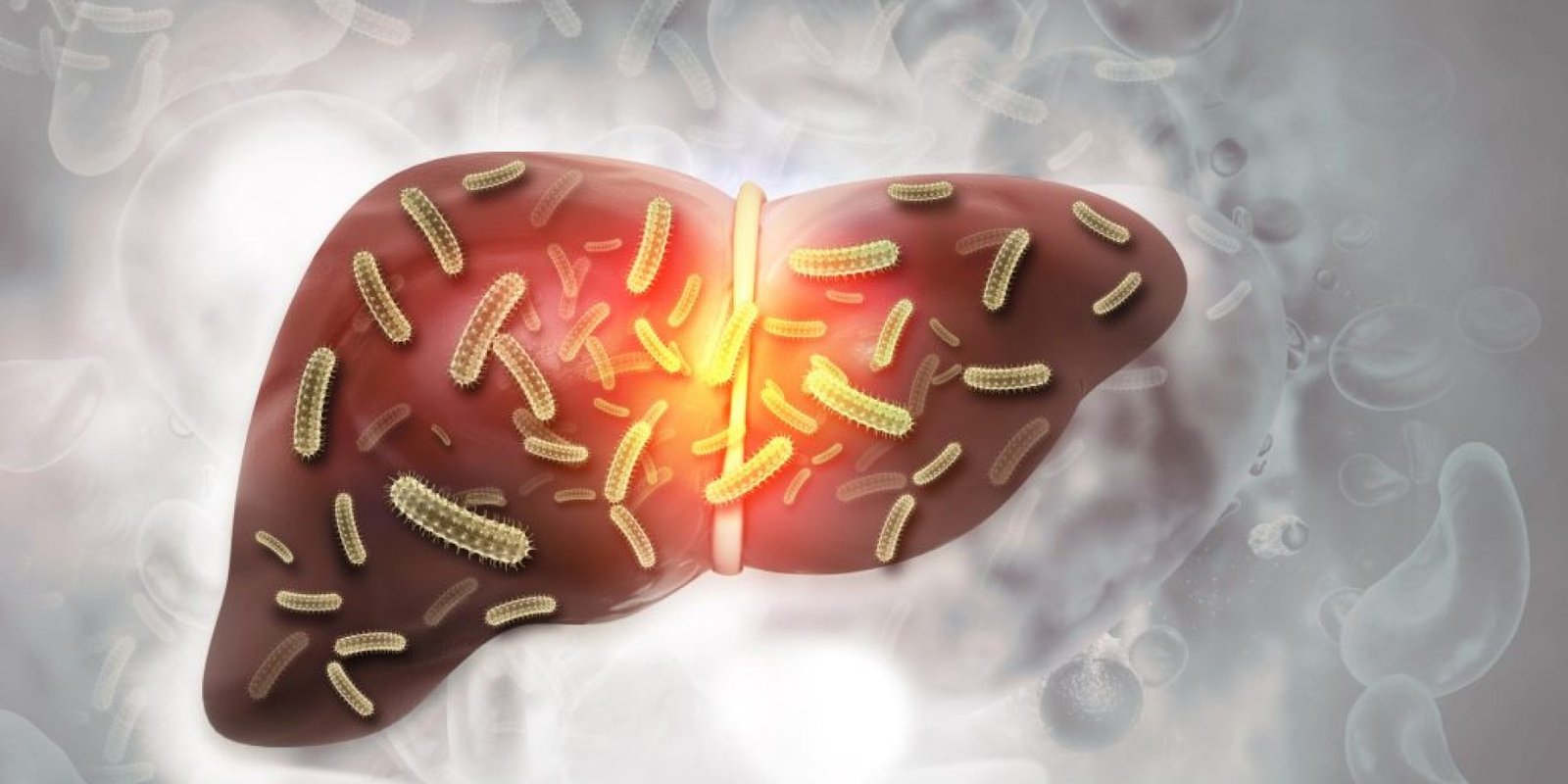 lipodis nosos toy ipatos 1024x683 jpg