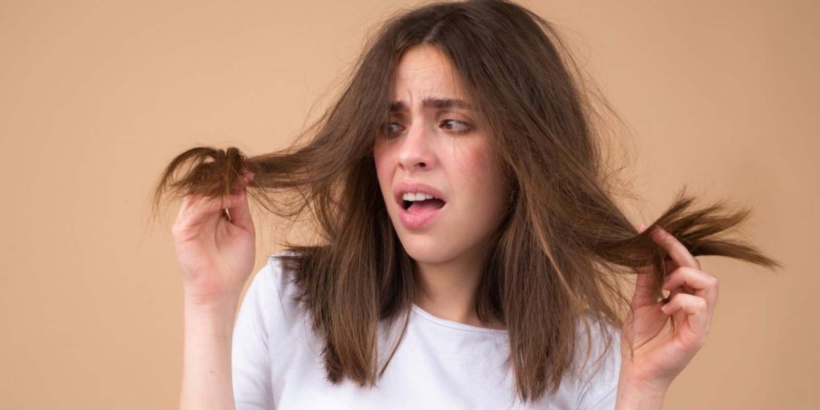 mallia proi 1024x683 jpg